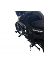 Tvs Raider 125 2023 - 2025 Uyumlu Motor Koruma Demiri